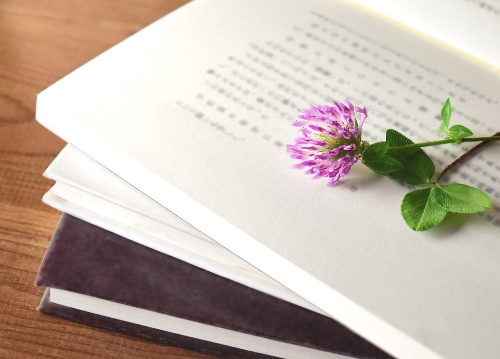 medicinal red clover research