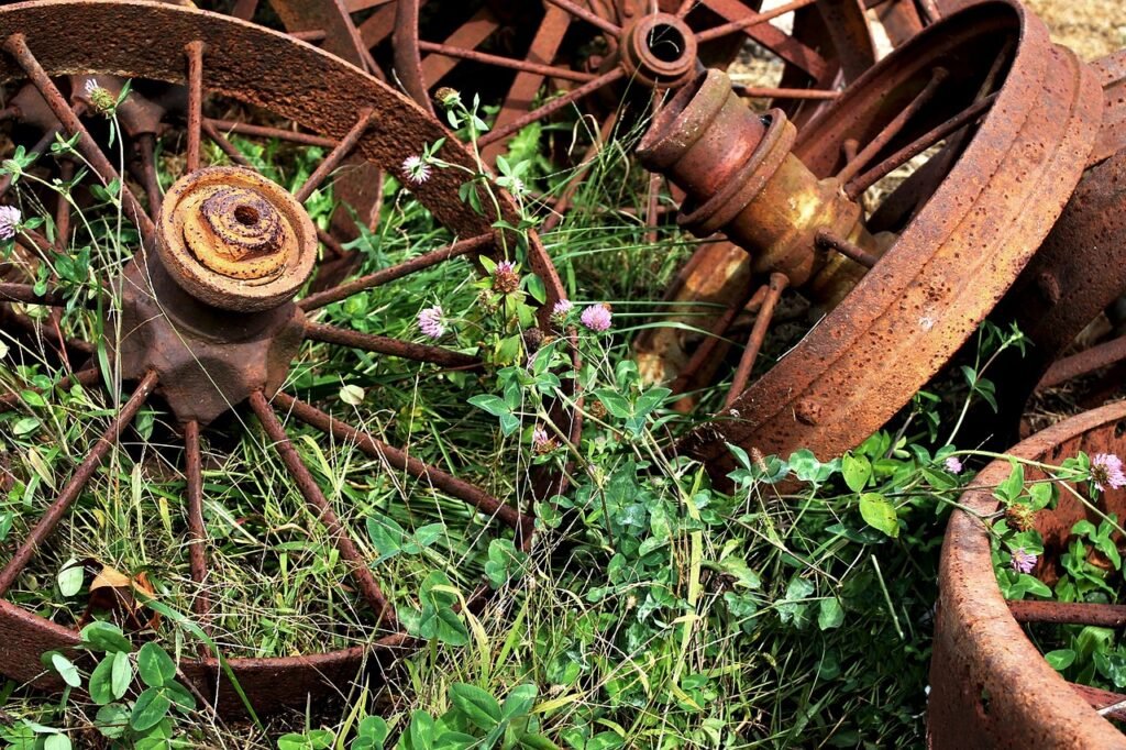 Medicinal Properties of red clover